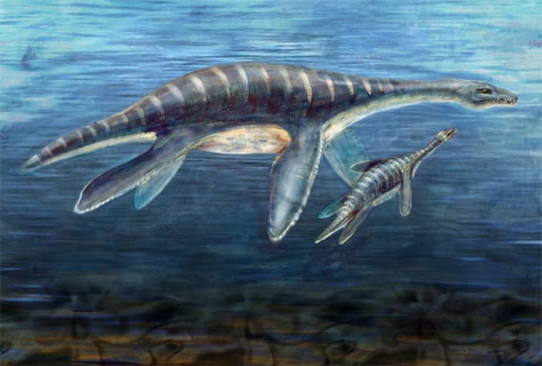 Image: Illustration of ocean in dinosaur era